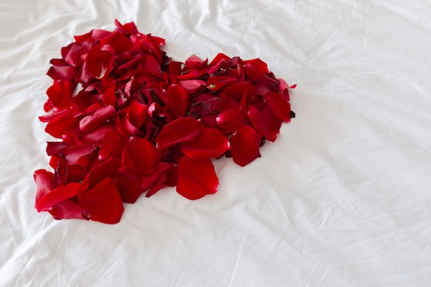 Hermoso corazón de pétalos de rosas rojas