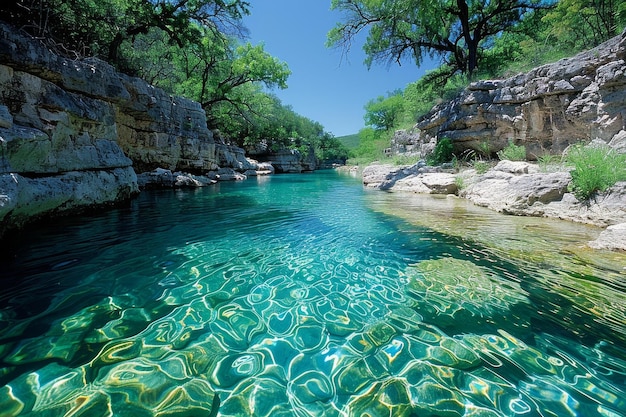 Foto un hermoso cuerpo de agua con árboles en el fondo