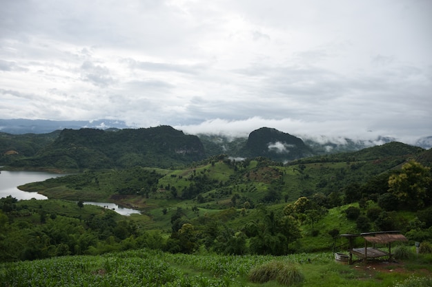 Hermoso después de la lluvia en la montaña