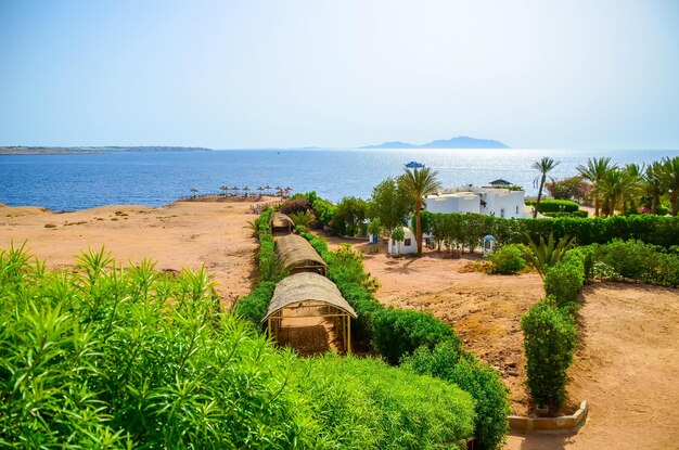 Hermoso día árabe en un hotel de Egipto Sharm elSheikh