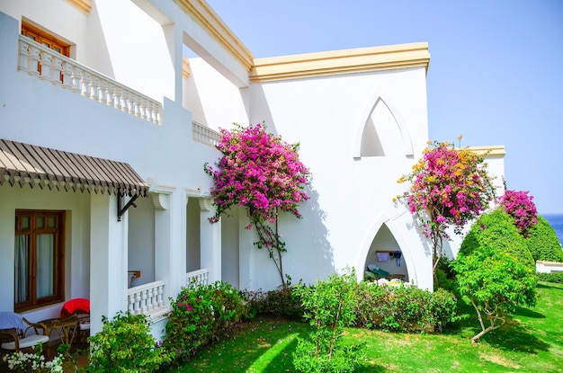 Hermoso día árabe en un hotel de Egipto Sharm elSheikh