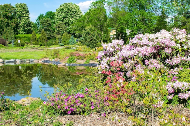 Hermoso diseño de paisaje botánico verde en el jardín con una pequeña piscina de estanque decorativa con césped de flores Concepto de fondo de naturaleza de jardinería de verano escénica