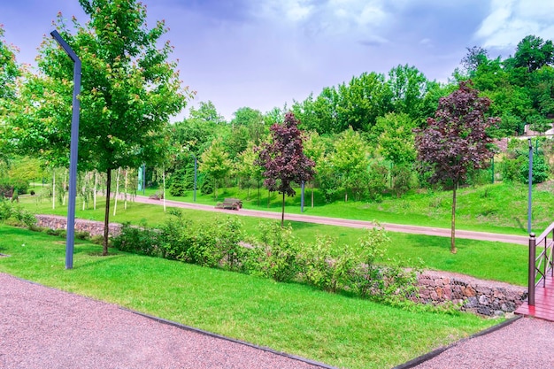 Hermoso diseño de paisaje botánico verde en el parque de la ciudad jardín con árboles arbustos y bancos césped de hierba fresca Concepto de fondo de naturaleza de jardinería de verano escénica