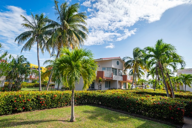 Hermoso diseño de paisaje frente a una mansión de dos pisos. Las palmeras crecen en el jardín. Un seto de arbustos y flores.