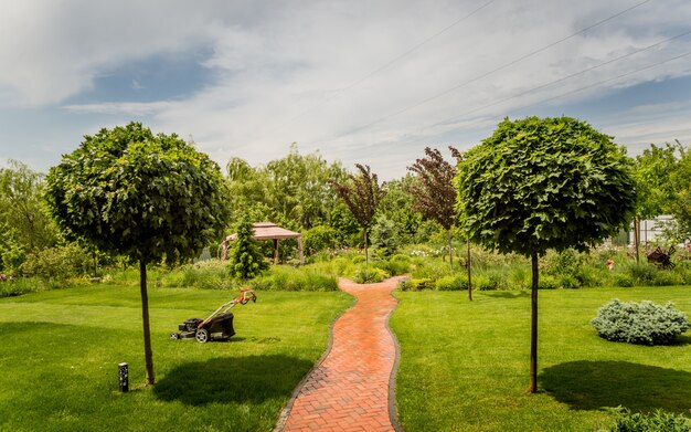 Foto hermoso diseño del paisaje del jardín. fondo de día de verano