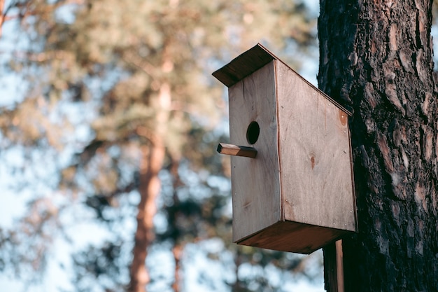 Hermoso entorno ecológico salvaje cerca de la ciudad.