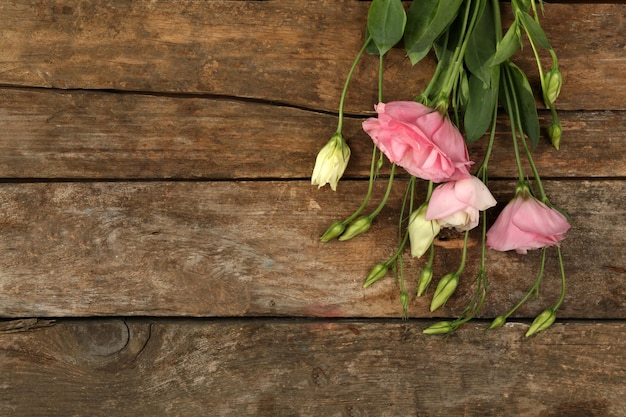 Hermoso eustoma sobre fondo de madera