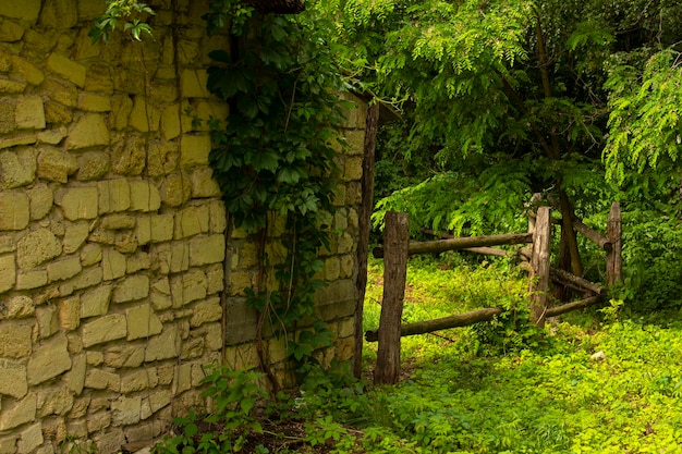 Hermoso fondo. Campo. muro y valla