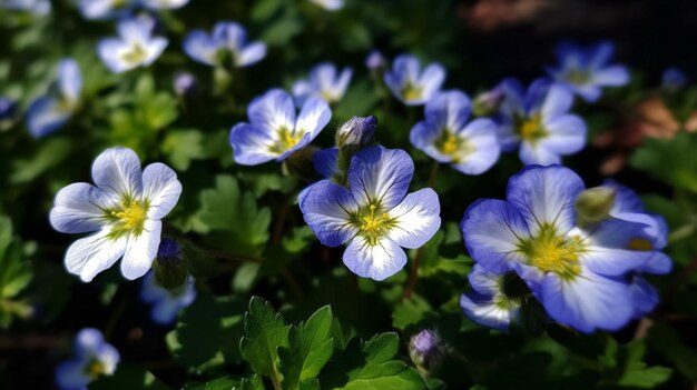 Hermoso fondo de flores de colores