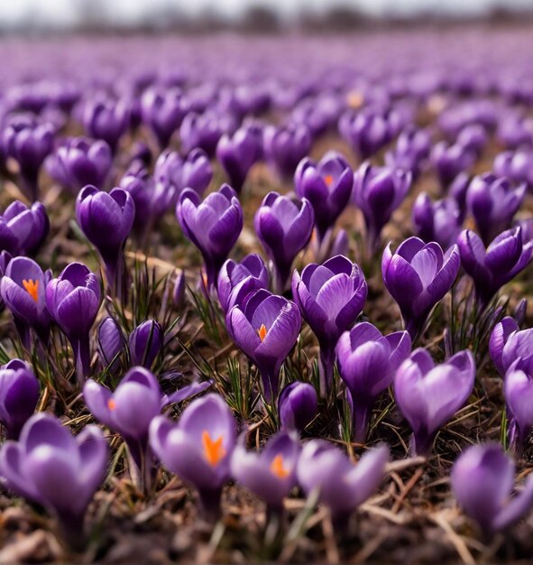 El hermoso fondo de flores de primavera generado por Ai