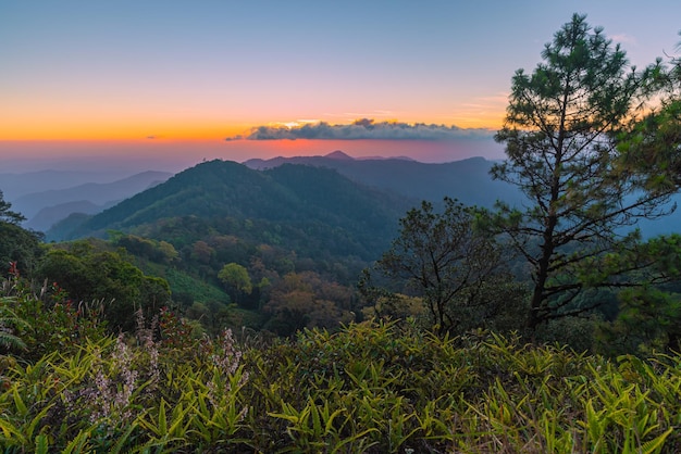 Hermoso fondo de montaña con cielo colorido Selva del mundo jurásico para trekking y camping