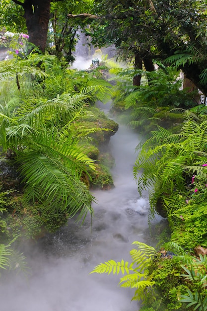 Hermoso fondo natural. Primer plano de tiro en la naturaleza.