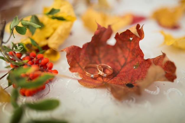 Hermoso fondo otoñal con anillos de boda y hojas