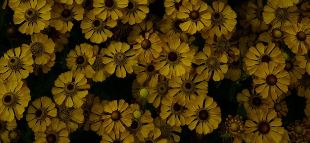 hermoso fondo de planta verde