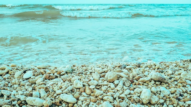 Hermoso fondo de playa de arena clara y rocas