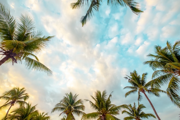 Foto hermoso fondo de playa tropical junto al mar. palmera de coco y nube sobre cielo azul. concepto de fondo de vacaciones de verano. tono vintage