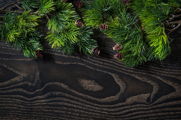 Hermoso fondo de ramas de árboles para la tarjeta de felicitación de Navidad y Año Nuevo