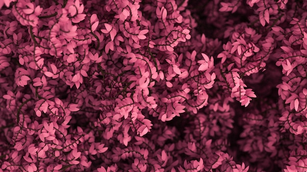 Hermoso fondo rosa con hojas. Representación 3d