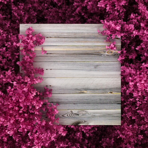 Hermoso fondo rosa con hojas y textura de madera. Representación 3d