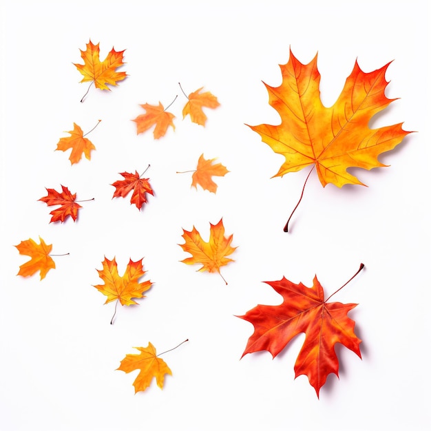 El hermoso fondo de la temporada de otoño 8K fotografía HD