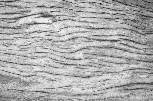 Hermoso fondo de textura de pared de madera blanco y negro vintage