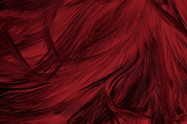 Hermoso fondo de textura con patrón de plumas de color rojo oscuro