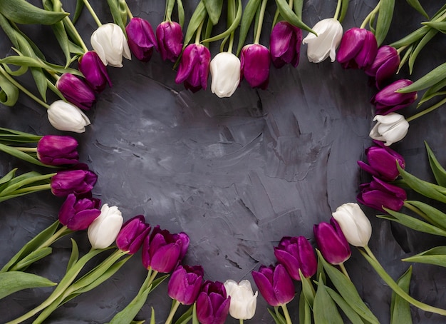 Hermoso fondo de tulipanes morados y blancos en forma de corazón. Vista superior del fondo de flores de primavera.