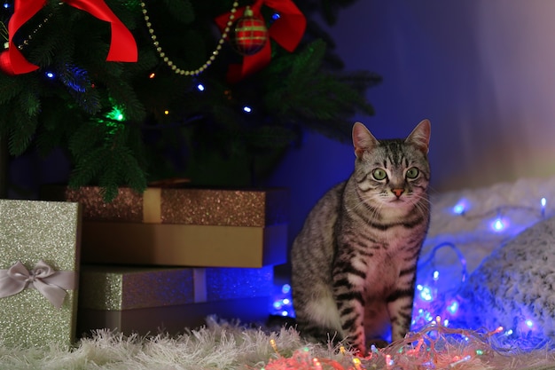 Hermoso gato cerca del árbol de Navidad con decoración