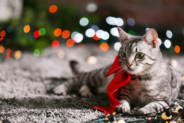 Hermoso gato cerca del árbol de Navidad con decoración