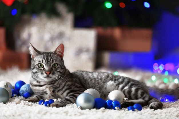 Hermoso gato cerca del árbol de Navidad con decoración