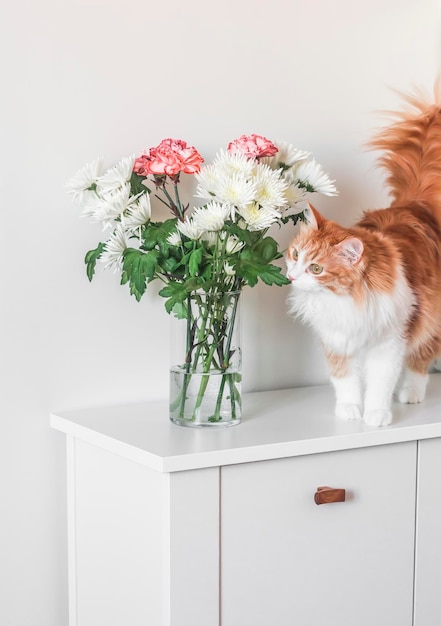 Un hermoso gato rojo y un ramo de flores en una cómoda de madera blanca