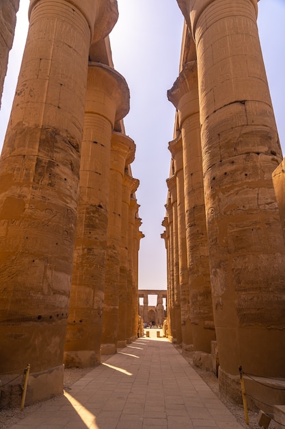 Foto hermoso interior con sus columnas en uno de los templos más bellos de egipto.