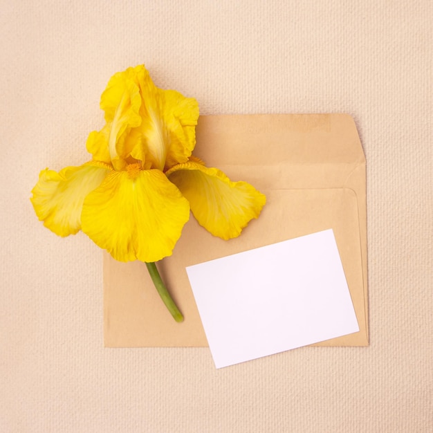 Hermoso iris grande y lindo en un sobre con espacio de copia para el diseño