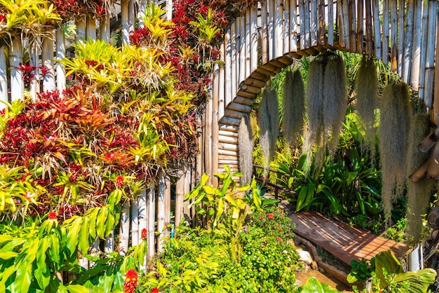 Hermoso jardín en la estación agrícola real - Doi Inthanon en Chiang Mai, Tailandia