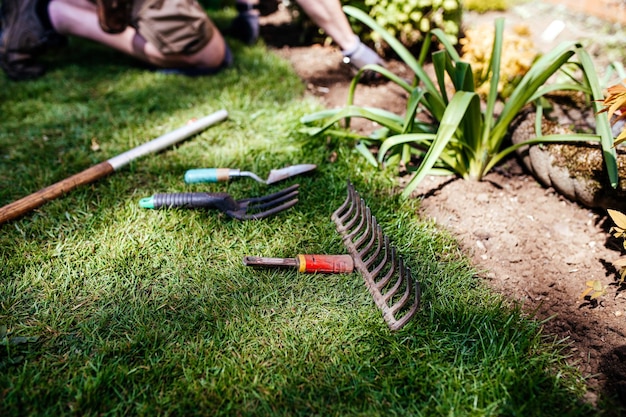 Foto hermoso jardín inglés y herramientas y equipos de jardín proceso de trabajo del jardinero