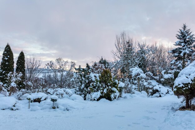 hermoso jardín de invierno cubierto de nieve