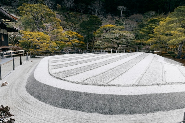 Foto hermoso jardin japones