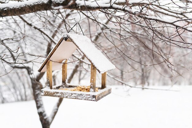 Un hermoso jardín pequeño con un comedero para pájaros que se alimenta en invierno en el comedero para pájaros Día nevado de invierno en el jardín