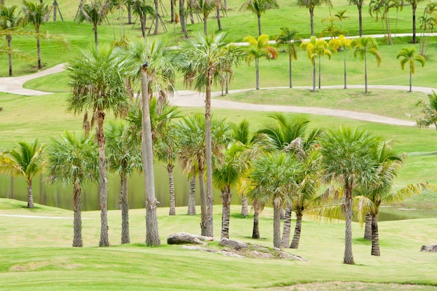 hermoso jardín de verano