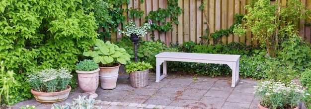 Foto un hermoso jardín verde vacío con un banco de madera y plantas en macetas afuera en un patio trasero en un día de verano un parque vibrante con vistas panorámicas de la naturaleza en un lugar pacífico y tranquilo al aire libre