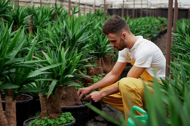 Hermoso joven sentado en el jardín y trabajando con palmas.