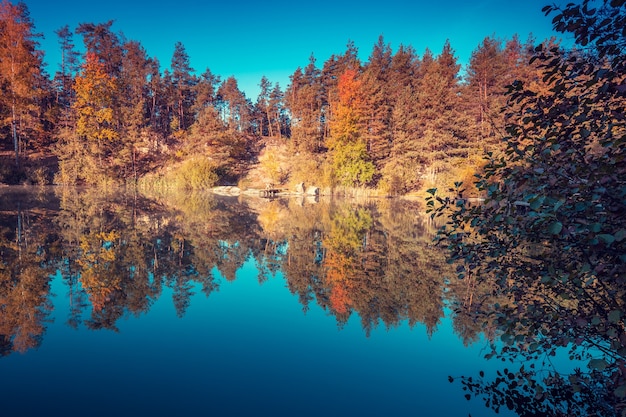 Hermoso lago del bosque con costas rocosas