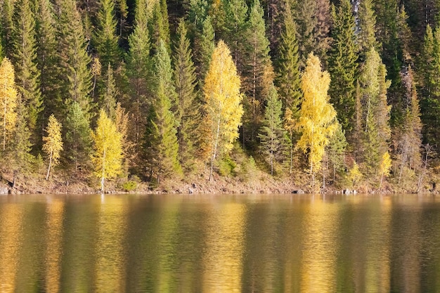 Hermoso lago y bosque de otoño en las montañas