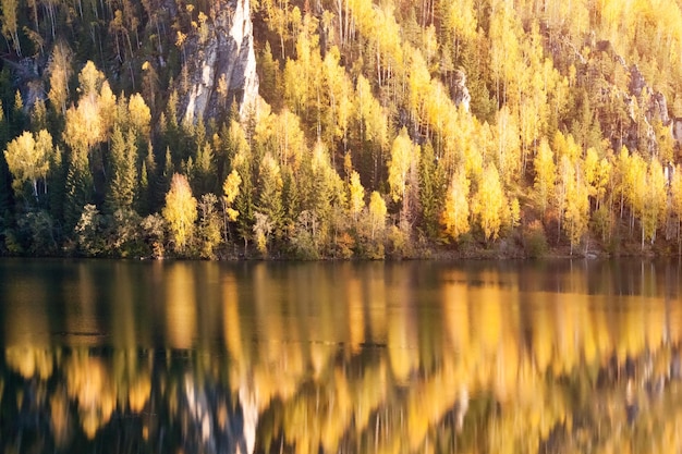 Hermoso lago y bosque de otoño en las montañas