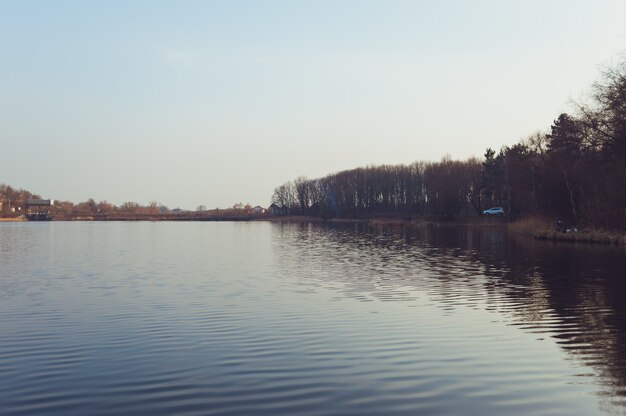 Hermoso lago del bosque a principios de primavera