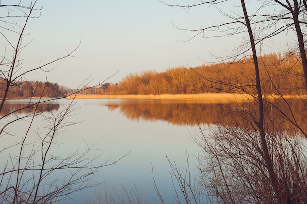 Hermoso lago del bosque a principios de primavera