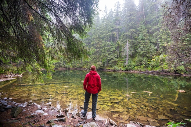 Hermoso lago brumoso en las montañas de los Cárpatos