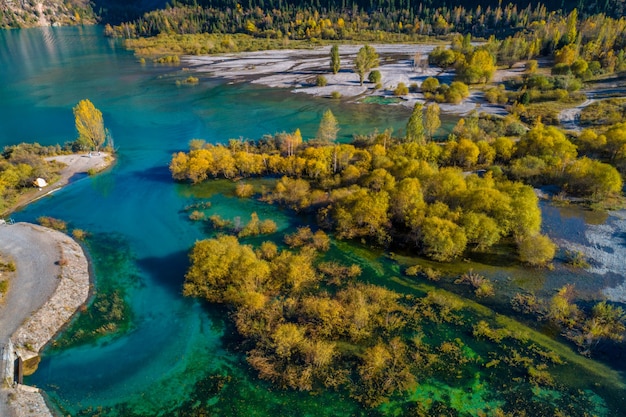 Hermoso lago de color turquesa Issyk en la zona montañosa de la región de Almaty durante el colorido otoño con abedules amarillos y pinos, Kazajstán