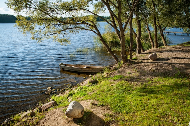 Hermoso lago en día de verano