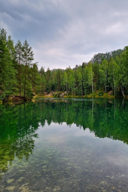 Hermoso lago de montaña y bosque verde Fondo de naturaleza recreación al aire libre